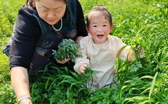 japonensisJAVA水多多破解版